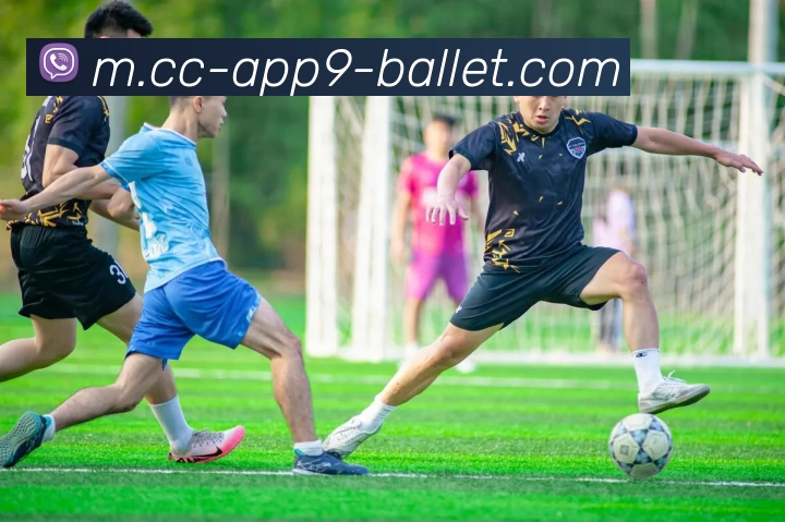贝博体育平台生态图
